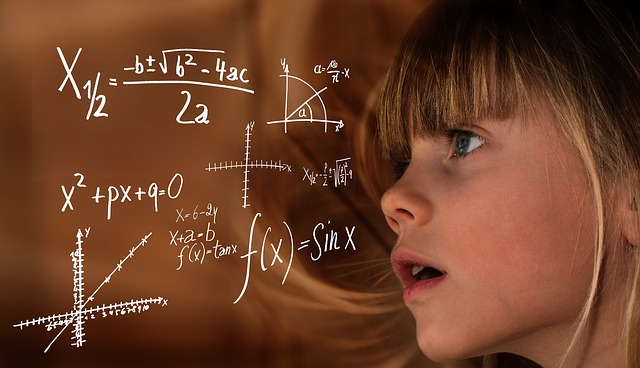 matematika zeljka buturovic