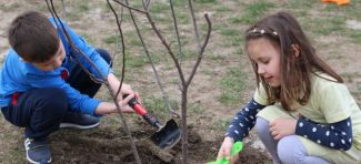 Sadite drveće sa decom, jer na njima svet ostaje!