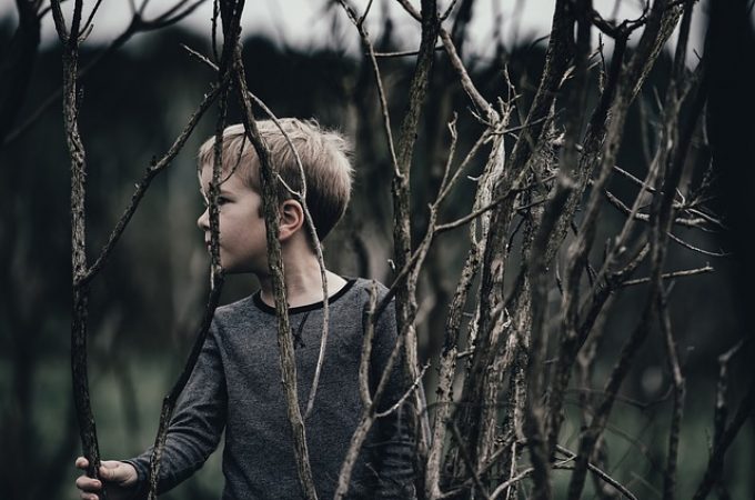 Da li biste ostavili svoje dete u šumi? Pa, Holanđani to rade jer deca tako “brže odrastaju”