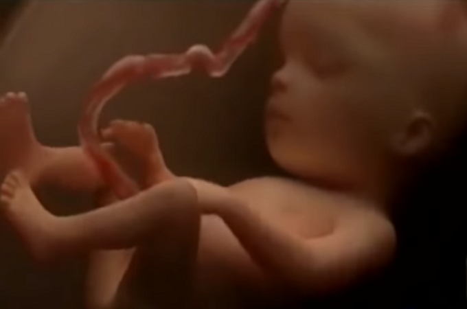 Igra se, trlja oči, sisa palac: Video fascinantnog života bebe od začeća do rođenja