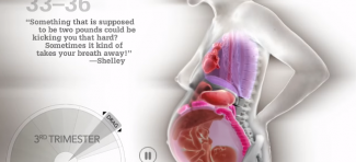 Mama, napravi mi mesta: Neverovatan video pomeranja maminih organa tokom trudnoće