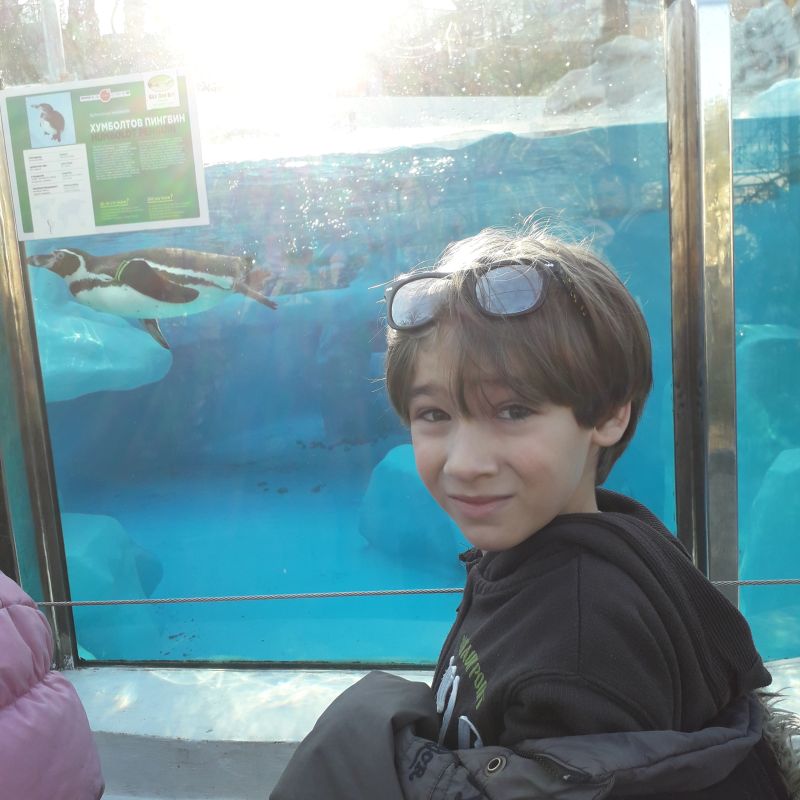 sanja vuckovic guzina