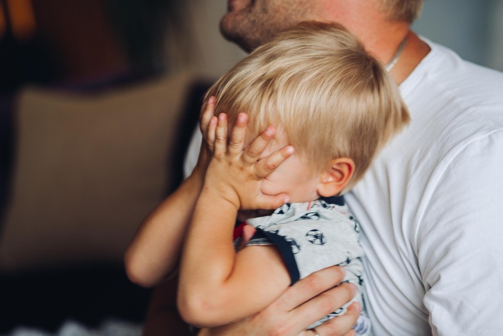 emocionalna regulacija