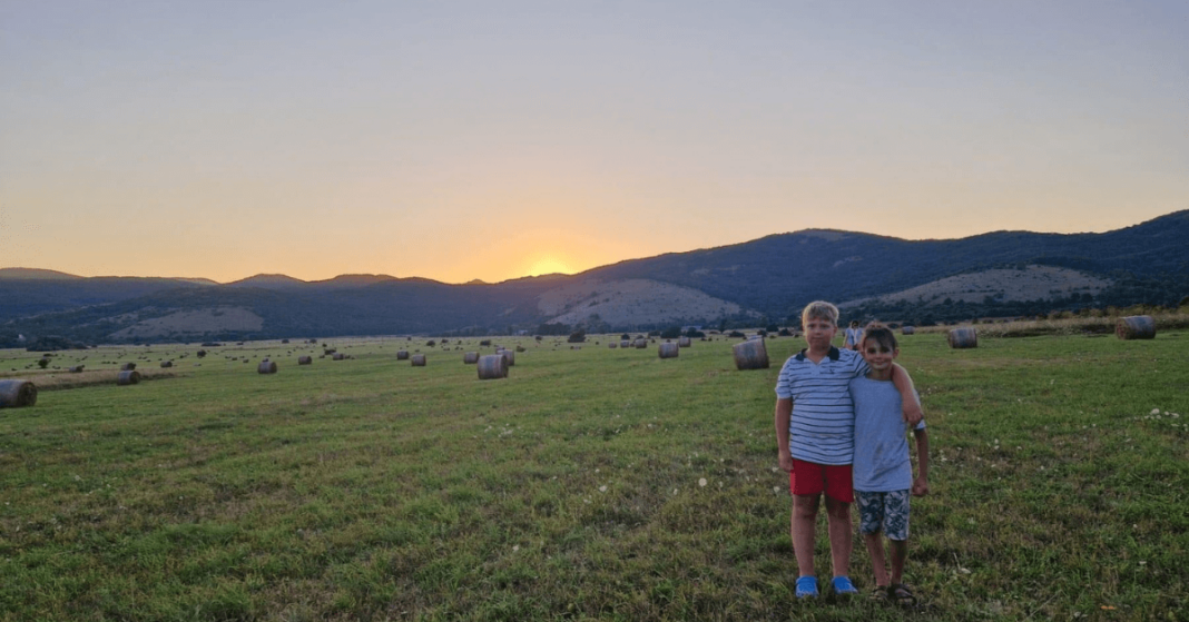 bašta sljezove boje