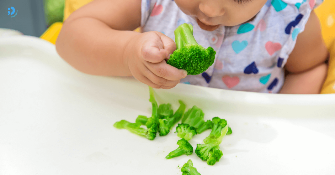 Baby-led Weaning